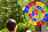 SG3580597_1726752175282