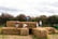 Maize Maze Entry & Pumpkin Picking for 2 or 4