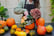 BYOB Pumpkin Flower Workshop for 1-8 People  w/£10 Voucher - Finchley, London