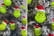 Christmas-Grinch-String-Light-1