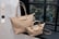 Womens-Longchamp-Inspired-Bag-1