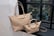 feed_opt_google_Womens-Longchamp-Inspired-Bag-6