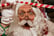 Father Christmas Experience & Christmas Village Ticket 