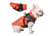 WINTER-WARMING-DOG-JACKET-8