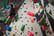 Climbing Session for Kids & Adults - Coventry