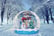 Snow Globe Image Main