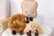 Jellycat Amuseables Inspired Plush Pastry Doll - 2 Sizes, 4 Options