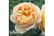 ROSE-V11901733143094753