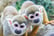 Northumberland College Zoo Entry - 2-5 People - Christmas Holidays Availability