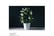 STEP_FLORI1733841030523
