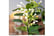 STEP_MADAG1733841031526