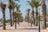 Palm-tree lined promenade Yasmine Hammamet, Tunisia, Africa