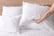 feed_opt_google_Duck-Feather-Pillows-4