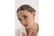 dainty-gol1734353555380