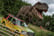 Hoo Zoo & Dinosaur World for Annual Entry Pass - Shropshire