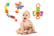 feed_opt_google_Toddler-Toy-Bundle-6