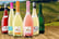 Premium-Rioja---Cava_Prosecco-Summer-Sampler-Selection1