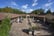 birch_hi_res_09