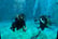 2 Hr PADI Scuba Diving Introduction Session - Kids or Adults - Essex (1)