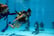 2 Hr PADI Scuba Diving Introduction Session - Kids or Adults - Essex (2)