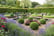 Barnsdale Garden Entry & Afternoon Tea for 1 or 2 