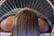 Japanese Head Spa with Massage & Facial Upgrades - Cloud Beauty, Camden