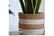 BASK_NATUR1737716874595