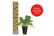 PRE-SALE-15TH-APRIL-Summer-Patio-Container-3