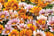 feed_opt_google_PRE-SALE-15TH-APRIL-Summer-Patio-Container-5