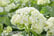 HYDR_ANNAB1739178585804