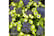 HYDR_GREEN1739178610107