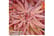 ACER_ATROP1739889073357