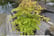 ACER_KATSU1739889079460