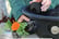 BASK_BLOOM1739984026815