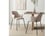 Dining_Cha1740633996667