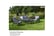 SOFA_GREYT1740668661426