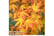 ACER_KATSU1741019221343