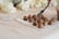 Luxury Chocolate Truffles 1