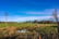 smithson farm exterior-1 (1)