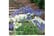 AGAP-VKA391741692996723
