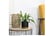 EPIP_ANGUL1741693001441