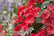 HYDR_AFTER1742221705312