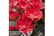 HYDR_AFTER1742221708187