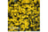 JASM-V59281742221732546