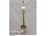 JASM-T28671742221734929