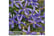 LAUR-T16171742222065000