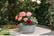 BOWL_CONCR1743088273590