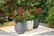 PLAN_STONE1743088283628