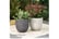 PLAN_STONE1743088285157