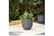 PLAN_STONE1743088286774